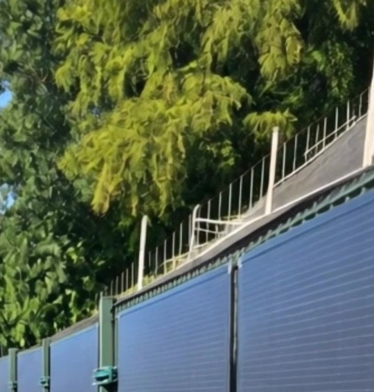 Recinzione da giardino nei Paesi Bassi con moduli solari flessibili LIONSHEE montati in verticale, alberi sullo sfondo